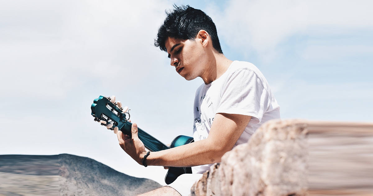 The Art of Music Success